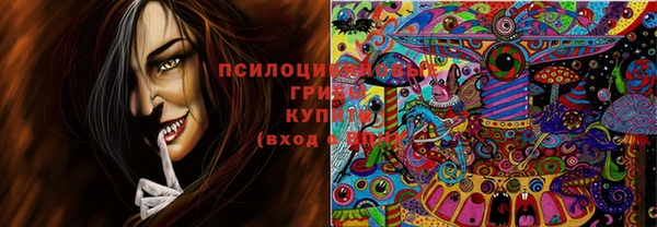 МДПВ Сосновоборск